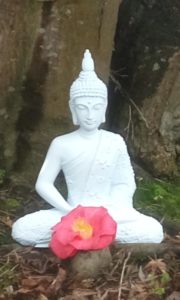 Buddha.garden (2)